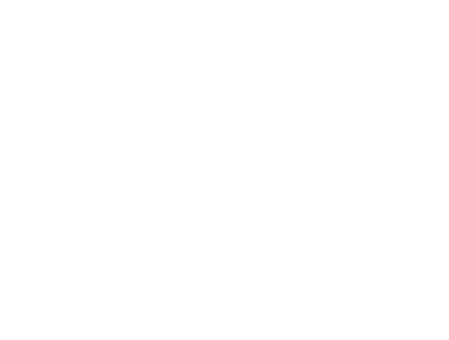 Transparent Man Lifting Barbell Icon Fitness Silhouette - Download Free Stock Videos Pikwizard.com