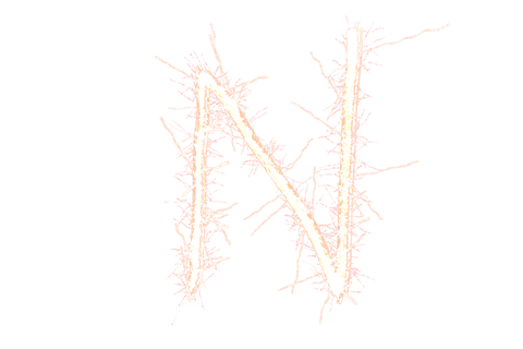 digital sparkling n letter on transparent background - Download Free Stock Videos Pikwizard.com