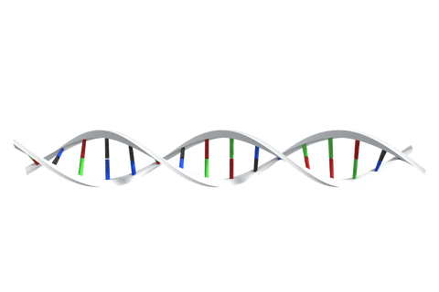 transparent dna molecular structure design concept - Download Free Stock Videos Pikwizard.com