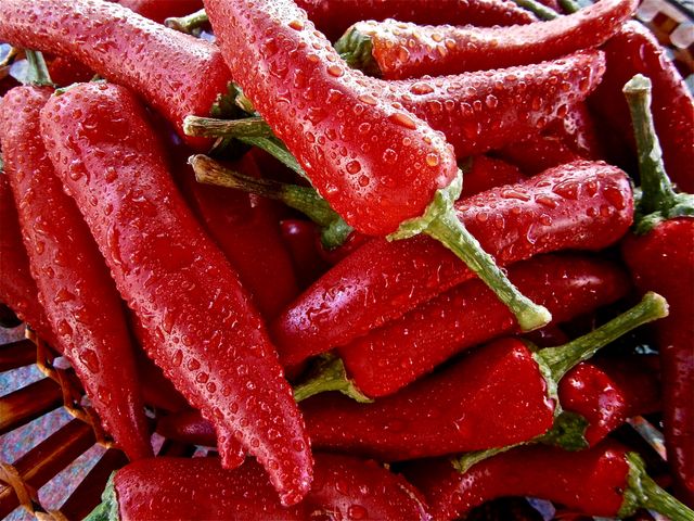 Bright and vibrant red chili peppers covered with water droplets. Ideal for use in food-related content, recipes, cooking blogs, healthy eating promotions, nutritional guide publications, and advertising for organic produce.