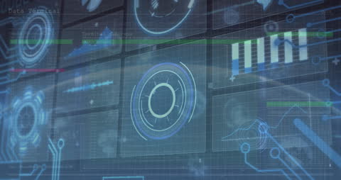 Digital Interface and Data Processing Concepts with Global Visualization