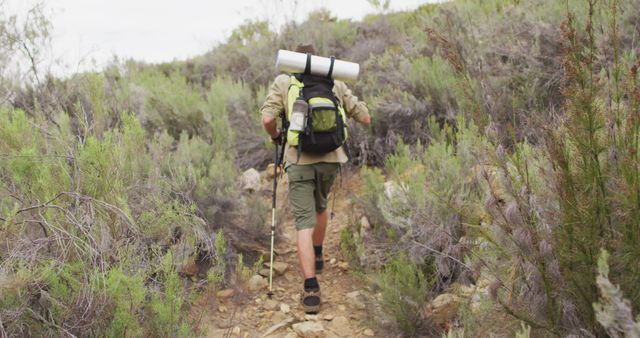 Male hiker trekking through a rocky mountain trail surrounded by lush greenery. Hiker carrying backpack and trekking poles while walking. Useful for outdoor adventure themes, travel blogs, camping equipment advertisements, and nature exploration articles.