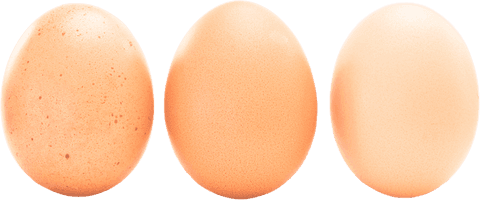 Triple Egg Shapes on Transparent Background for Design Projects