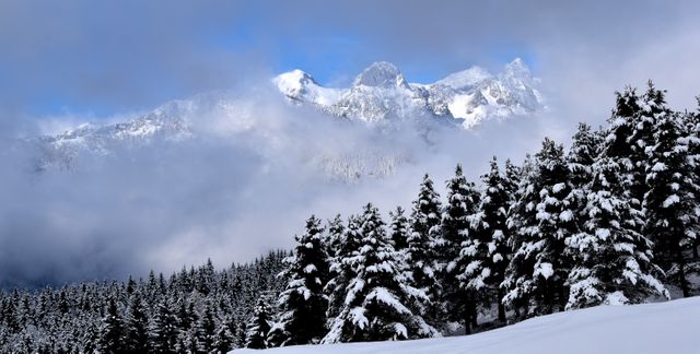 This breathtaking image captures a serene winter landscape with snow-covered pine trees set against a backdrop of majestic, snow-capped mountains partially obscured by clouds. It is perfect for use in travel brochures, winter tourism promotions, holiday cards, or any nature-related projects. The peaceful, frosty atmosphere conveys the beauty and tranquility of winter.