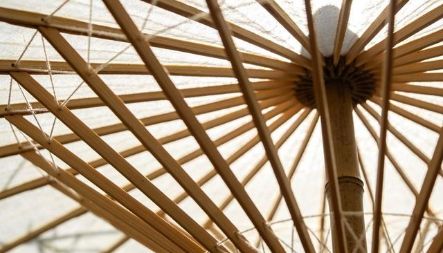 Handcrafted paper parasol revealing bamboo ribs radiating from central shaft and hub
