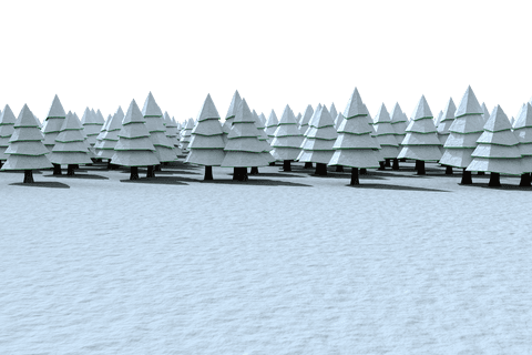 transparent winter scene with snowy christmas trees in forest - Download Free Stock Videos Pikwizard.com