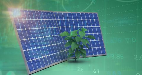 Solar Panels with Plant Symbolizing Renewable Energy and Growth - Download Free Stock Images Pikwizard.com