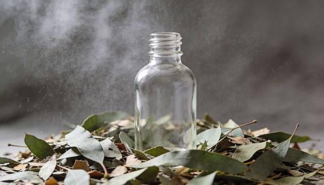 Clear glass bottle sitting on eucalyptus leaves with mist and water droplets, natural still life
