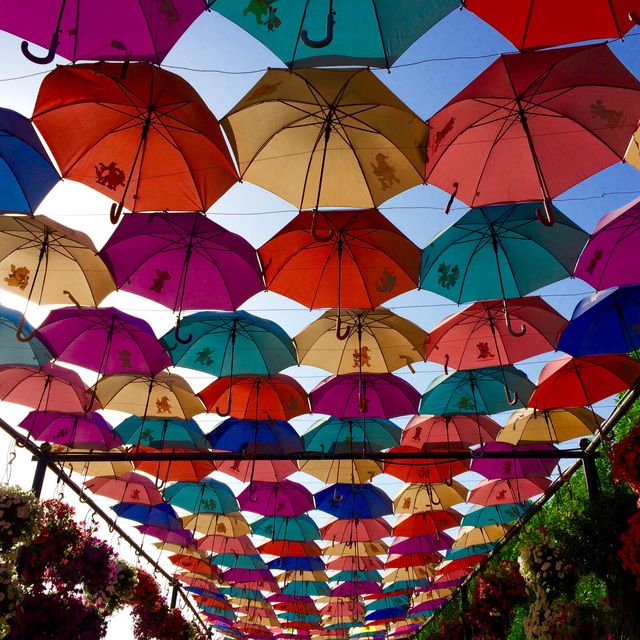 Colorful umbrellas creating a vibrant canopy against a blue sky. Perfect for concepts involving creativity, color, urban decoration, and sunny weather. Suitable for websites, social media, blog posts related to outdoor events, creative environments, and unique art installations.