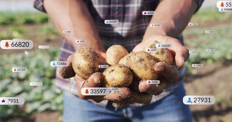 Farmer displaying harvested potatoes amidst digital social metrics