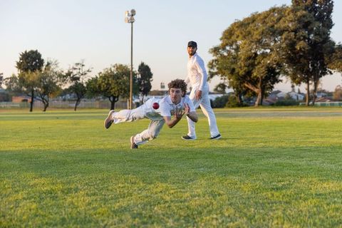 Dramatic diving catch chasing red cricket ball on green outfield showing teamwork