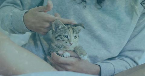 Woman gently cradling kitten enjoying quiet moment together