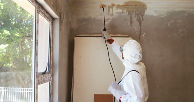 Professional Exterminator Treating Mold Infestation in Residential Room - Download Free Stock Images Pikwizard.com