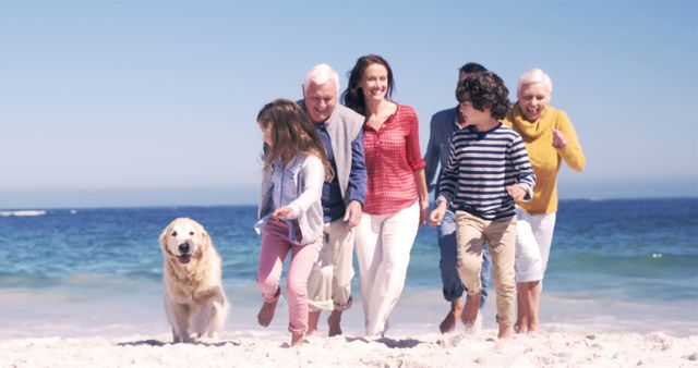 Happy Multigenerational Family Walking on Beach with Dog - Download Free Stock Images Pikwizard.com