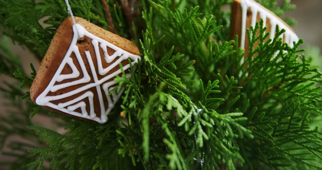 Decorated gingerbread cookies hang amidst the vibrant green branches of a Christmas tree, adding a festive touch. Gingerbread cookies are a traditional holiday treat, often used as decorations during the Christmas season.
