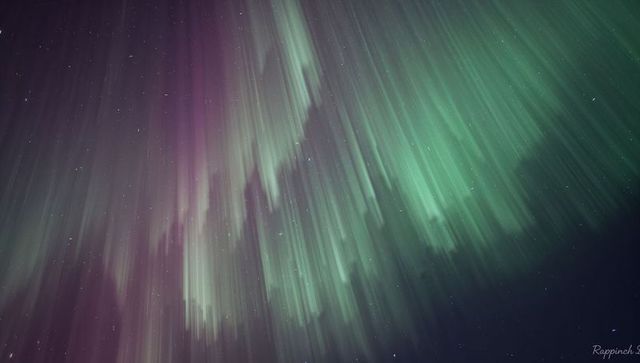 Aurora Curtains Painting Night Sky with Teal and Purple Light Streaks