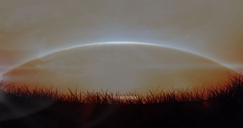 Silhouetted grass against glowing planetary horizon