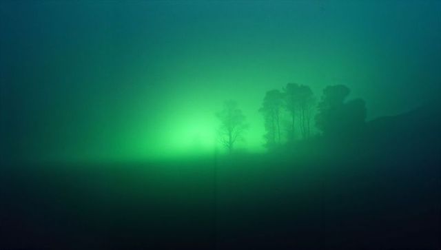Mysterious Glow Through Foggy Forest Landscape