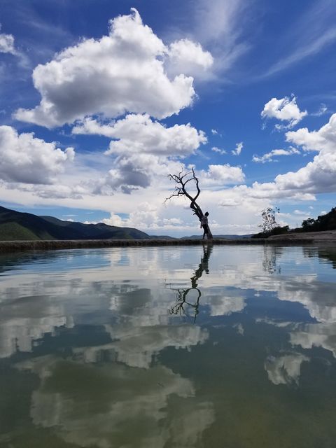 Beautiful scene depicting a lone tree reflected in calm water, set against a sky filled with fluffy clouds. Ideal for use in nature-related content, promoting relaxation and peace, or as a serene background for websites and print materials.