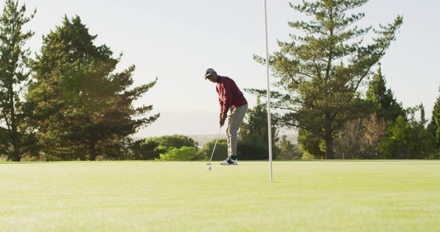 Man practicing putting on a golf green surrounded by trees on a sunny day. This stock photo can be used for promoting outdoor sports, golfing events, leisure activities, and healthy lifestyles.