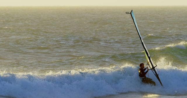 Windsurfer Navigating Waves in Golden Hour Light - Download Free Stock Images Pikwizard.com