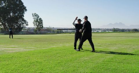 Baseball teammates celebrating high-five on sunny green field with mountain horizon