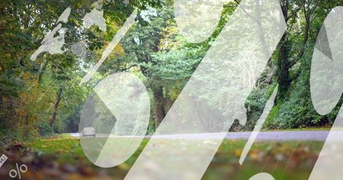 Curving tree-lined country road winding through autumn woodland with small car and overlays