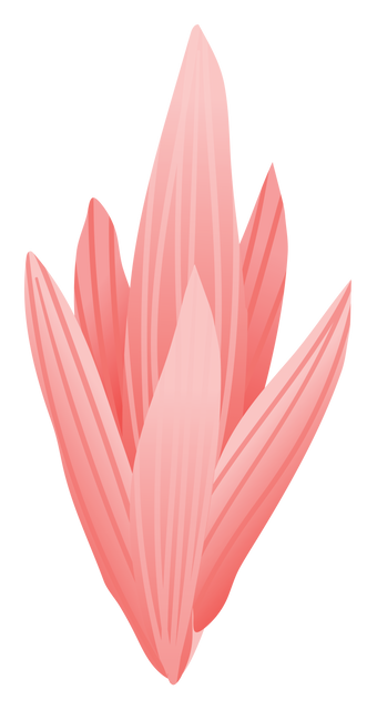 Digital PNG Illustration of Pink Flowers on Transparent Background - Download Free Stock Videos Pikwizard.com