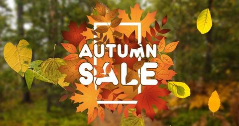 Autumn Sale Promotion with Colorful Leaves and Forest Background - Download Free Stock Images Pikwizard.com