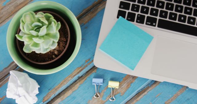 Modern Workspace with Laptop, Succulent, and Office Supplies - Download Free Stock Images Pikwizard.com