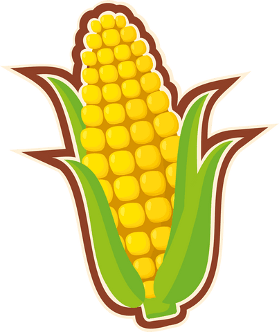 fresh cartoon corn illustration on transparent background - Download Free Stock Videos Pikwizard.com