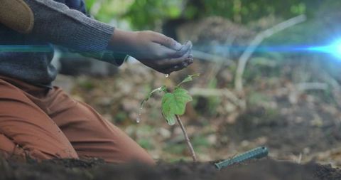 Young boy kneeling watering sapling nurturing growth and sustainability in leafy garden