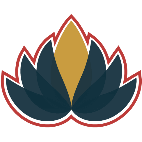 Colorful Floral Shapes with Transparent Background - Download Free Stock Videos Pikwizard.com