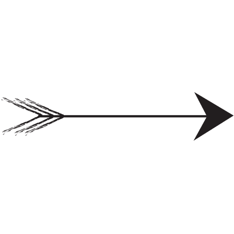 Black Arrow Vector on Transparent Background - Download Free Stock Videos Pikwizard.com