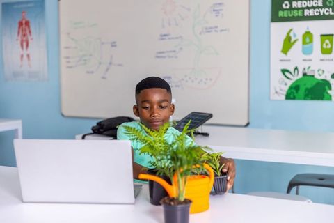 Young african american boy tending classroom plants while using laptop for eco learning