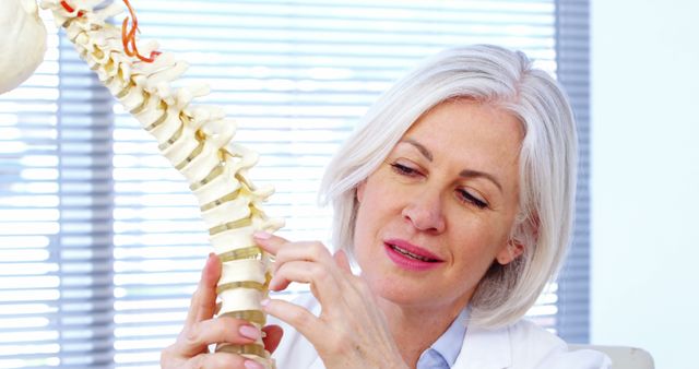 Experienced Medical Professional Examining Human Spine Model - Download Free Stock Images Pikwizard.com