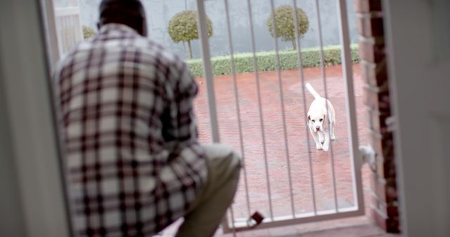 Image shows a man watching a Labrador Retriever dog through a gate. This photo is great for themes related to pets, animal companionship, outdoor leisure, backyard activities, and human-animal interactions. Perfect for use in pet care blog articles, social media posts about dogs, or promotional materials for animal shelters.