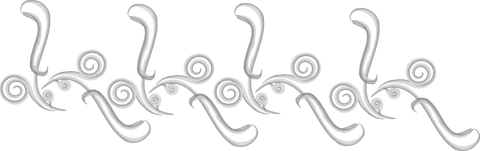 Elegant Grey Pattern Arrangement on Transparent Background - Download Free Stock Videos Pikwizard.com