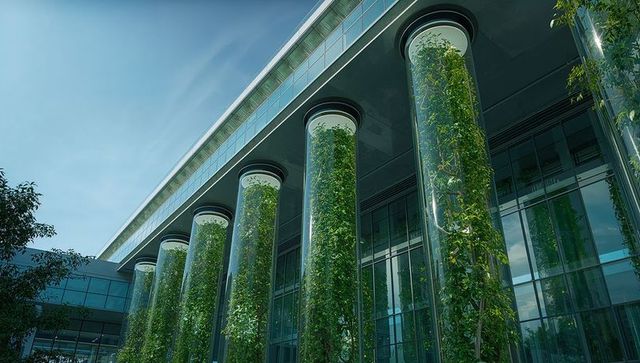 Vertical glass column greenwall facade featuring tall climbing plants modern entrance