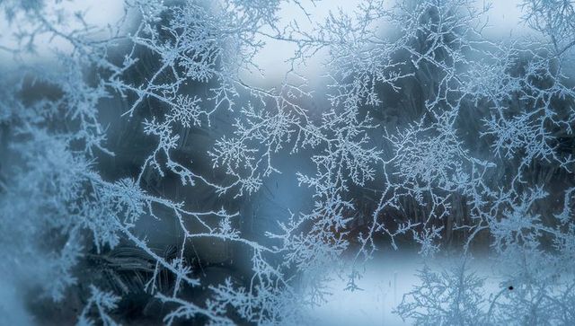 Forming dendritic frost on window glass, delicate ice crystals creating feathery patterns