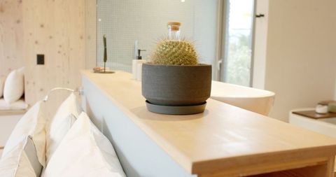 Minimalist bathroom with barrel cactus on wooden shelf