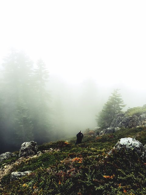 Person navigating through lush green forest with thick fog shrouding pine trees and rocks. Ideal for themes of solitude, nature exploration, outdoor adventure, and peaceful retreat. Suitable for travel blogs, nature conservation campaigns, and promotional material for outdoor and hiking gear.