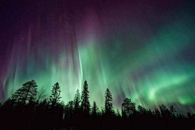 Northern Lights Above Boreal Forest - Download Free Stock Photos Pikwizard.com