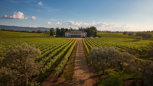Sunlit vineyard avenue leading to stately villa with cypress lined driveway at golden hour