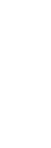 Transparent silhouette businesswoman posing confidently