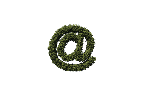 Green Leaf At Symbol on Transparent Background - Download Free Stock Videos Pikwizard.com
