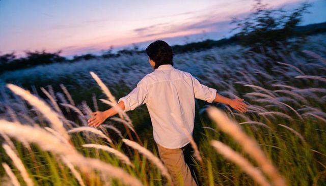 Walking through silvergrass at dusk touching meadow | solitude, sunset, motion
