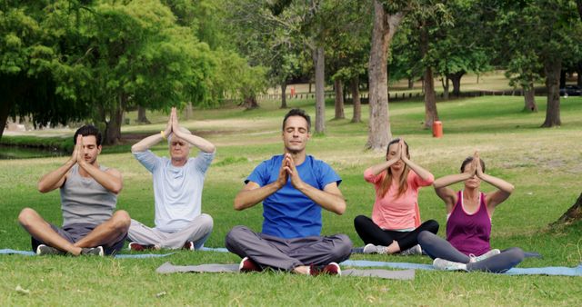 Diverse Group Practicing Yoga Together in Park - Download Free Stock Images Pikwizard.com