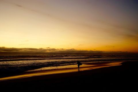 Silhouette of Surfer at Golden Hour Beach