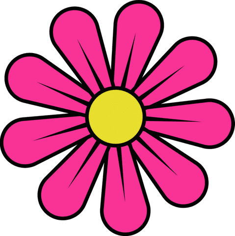 colorful stylized flower with pink petals on transparent background - Download Free Stock Videos Pikwizard.com